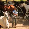 🇻🇪🐴Llanos de Venezuela 🇻🇪