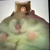 Serbian_Hamster🇷🇸