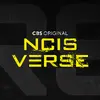 The NCISverse