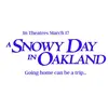 A Snowy Day In Oakland