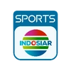 Indosiar Sports