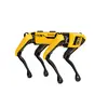 Boston Dynamics