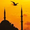 Mavi_istanbul