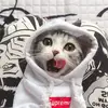 Travelmeow_duoduo