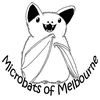 Microbats_of_Melbourne