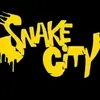 SNAKE 🐍 CITY