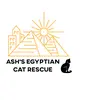 Ash Egyptian Cat Rescue