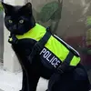 police_cat_amsterdam