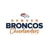 Denver Broncos Cheer